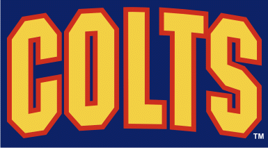 Barrie Colts 1994-pres wordmark logo iron on heat transfer